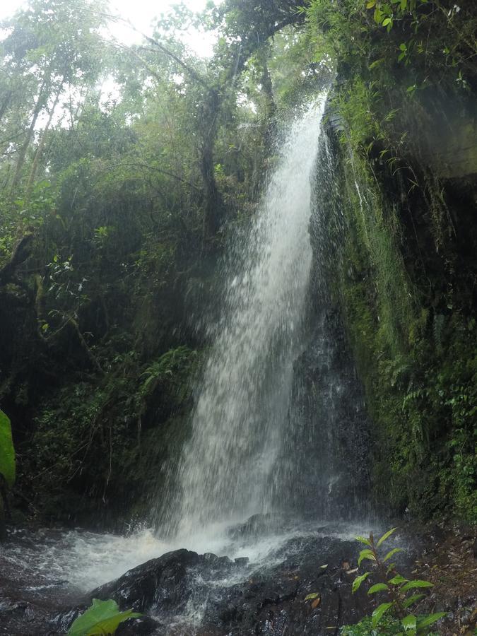 Cabana De Montana La Magnolia, Cerro De La Muerte De La Canuela Cloud Forest Tres de Junio Dış mekan fotoğraf