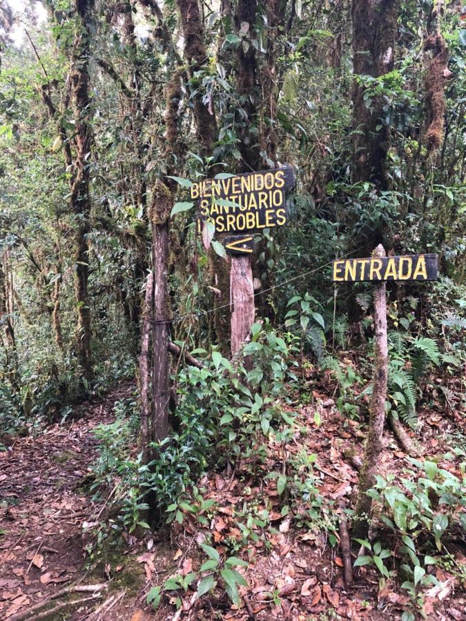 Cabana De Montana La Magnolia, Cerro De La Muerte De La Canuela Cloud Forest Tres de Junio Dış mekan fotoğraf